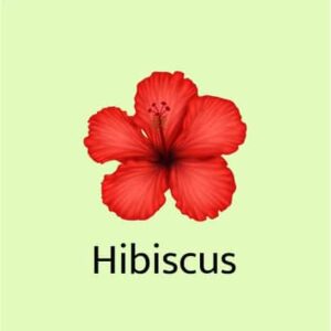 Hibiscus