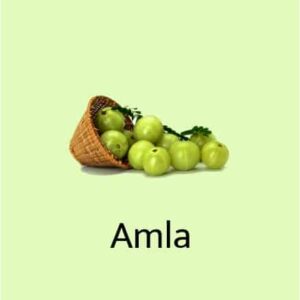 Amla